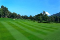 Alpine Golf Resort Chiang Mai (