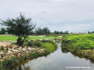 FLC Quang Binh Beach & Golf Resort, Forest Dunes