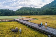 Laguna Golf Lang Co (