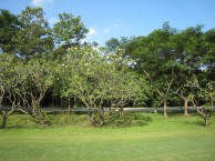 Navatanee Golf Course