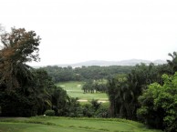 Saujana Golf & Country Club, Palm Course