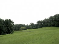 Saujana Golf & Country Club, Palm Course