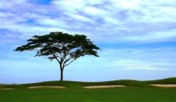 Borneo Golf & Country Club