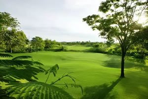 Golf Holiday Packages in Asia | Custom Golf Tours | GolfAsian.com