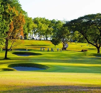 Luisita-Golf-Club-Fairway