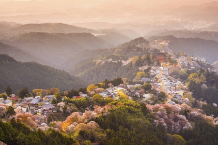 Yoshinoyama, Nara, Japan view of town and cherry trees during the spring season.